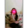 user385931414097