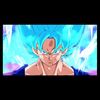 mr.goku_1999