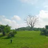 p.dai.a4_k57_nvt