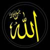 yar.muhammad630