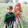 naqib.wazir.naqib