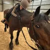 your.fav.horse.rider.lu7