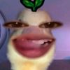 vitiaaaaaaaaaaaaaa