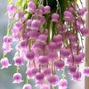 user19134708067515
