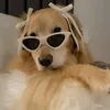dogmama445
