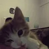 ooooopiiuum