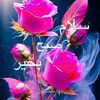 user8826208143866
