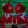 am.shaker.al.mokd