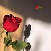 hajer.hajoura909