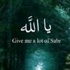 adaan.alii