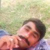 dillsiayl7228