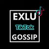 ExluGossip