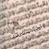 karima.mohamed410