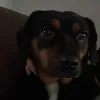 hugo_holt73