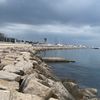 kantus_223