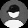aremu00004
