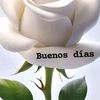 rosa.elena0470