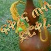 .mohammedjmal
