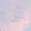 dev_1000