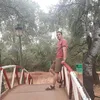 kamal.ij