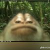 danielsanguino75