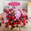 quoc.971