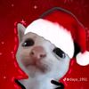 michis_311
