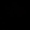 damir_kz2711