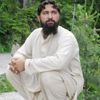 zafar.iqbal3745