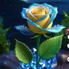 ronju.ali093