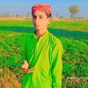 attaullahbaloch3536