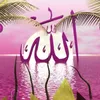 elnur.8625