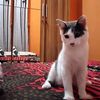 siti.masitoh012