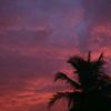 azkia_849