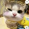 korshik_4567