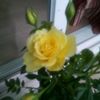 user1912710422527
