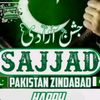 sajjad.saqi11
