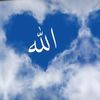 allahym563