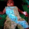 megh.palok.megh.p