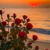 rooksana_0