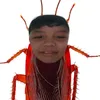 apollotertulino