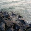 bijoybepary1
