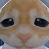 cuterhsk