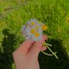 shenudi.priyasha0723
