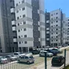 apezinho808