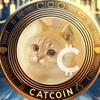 onecatcoin