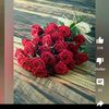 armanalif90560