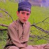 shahab.nadan59
