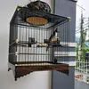 cuong.nguyen6970