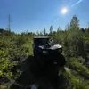 imtherealsillycat